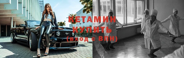 индика Сатка