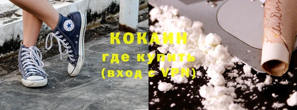 индика Сатка