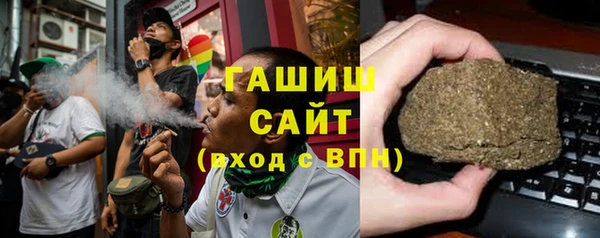 индика Сатка